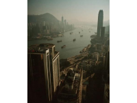 香港鼠患严峻：每捉一只老鼠成本约10880元，引发热议