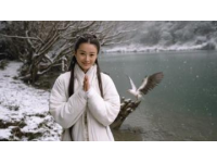 李妹妹葱油饼逆袭人生，坚韧不屈的传奇