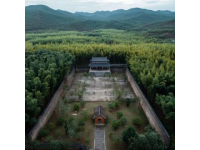 漫悦小巷民宿：体验丛林坦克的乐趣