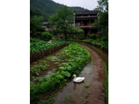 不容错过的成都周边热门景区推荐，山水人文之旅从这里开始！