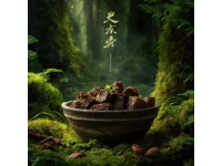 云南宣威的"火腿大王"陈阳，用五年赚来的积蓄购买了上万斤猪腿肉