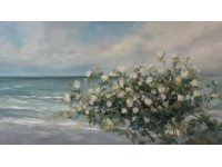 面朝大海春暖花开之旅——五分旅行头条深度解析