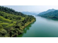 夏日打卡季：探秘华北明珠白洋淀，体验北方水乡生态人文之旅