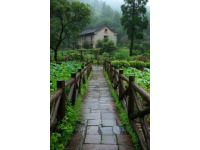 雨水节气养生指南：东北地区适用的中医保健策略