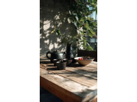 早茶文化：广东饮食的独特魅力初体验