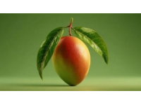 缅怀外婆：那颗最后逝去的青梅