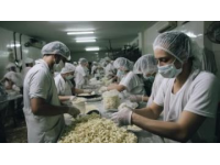 彬州御面：探寻传统手工技艺的魅力与美味