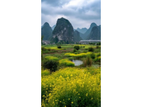 阳朔：山水间的诗意画卷