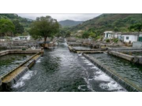 柳州周边游推荐：螺蛳粉、水油堆与古迹探秘之旅