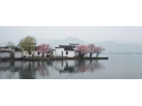 两日游路线：武大樱花+东湖绿道，这样玩不绕路！