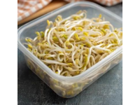 春天的味道与营养：四种适合孩子的春芽美食