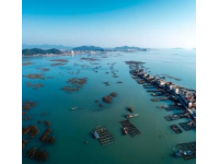三亚之旅：十天内发现景区冷清与变化