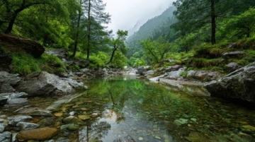 九寨沟一日游：奇幻探险之旅，开启你的山水童话之旅