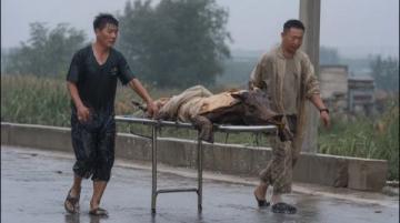 当年民国镇上死了七个百姓,死者面青指蜷,绣花鞋旁遗着半只鞋子,县里派来的巡警被逼退,局长一刀刺穿了案子。