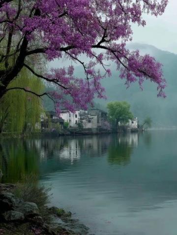 浓浓的茶香、绚烂的秋色、静谧的湖光,开化景区有着一丝仙气。