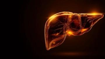 科学应对脂肪肝：揭秘极端素食背后的健康误区与合理膳食策略