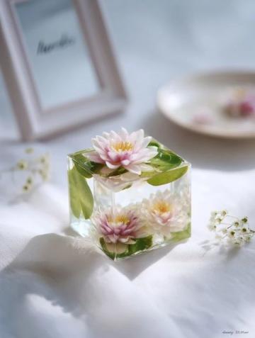 樱花水晶糕,春日凝萃的梦幻甜韵