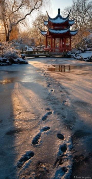 揭秘东北的趣味冷知识:冰雪艺术、方言魅力与美食风情