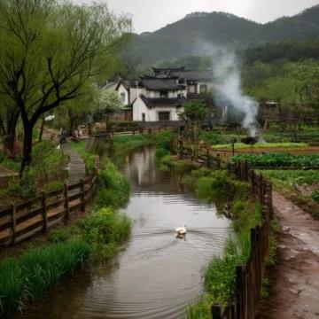 成都近郊露营好去处：金马河边的温江鲁家滩湿地公园