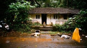 深圳宝安西乡小产权房,本地村民出地与开发商出钱合建而成