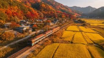 深秋踏青指南:一日徒步探险,竹影水韵古村落美食之旅