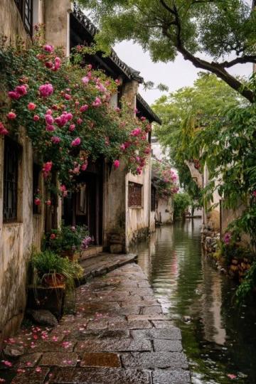 江南秘境：藏于古村中的油菜花海等你来探秘