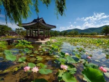 五一假期保定周边游:探索直隶总督署与古莲花池之外的美景