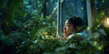 深圳西涌萤火虫观赏季：最佳观景指南及出行攻略