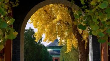 保定三日自由行攻略推荐