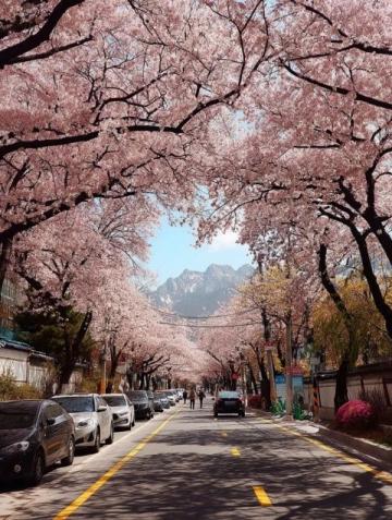 2025年必去的五大春季旅行胜地,跟随榜单开启新体验