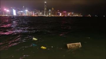 蚝友赞生蚝构建起的跨海食光