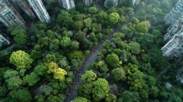 星溪线徒步之旅:探索广州春日竹林的绿意与生机