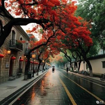 上海周末游横店攻略:深度探访广州街与香港街景区体验