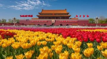 五一青岛周边游:潍坊诸城一日游体验分享