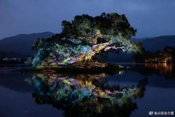 南京银杏湖：自然与人文的和谐交融