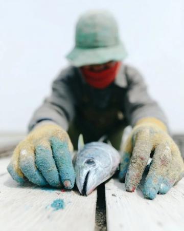 阜阳河道刀鱼泛滥村民狂捞背后是生态改善信号？