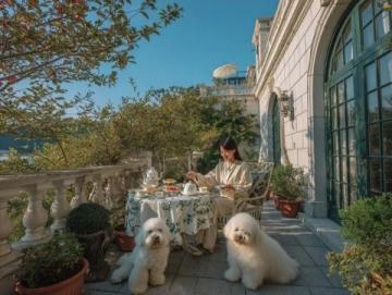 香格里拉启动新春推广计划：团圆宴席与特色礼品齐备迎新年