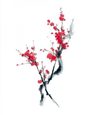 梅花从餐桌到文化的美丽蜕变