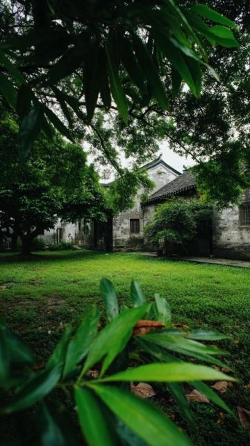 潍坊高密南湖植物园——城市绿洲的诗意栖居**