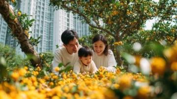 实况记录云端花园的春日盛景：杜鹃花海、亲子活动与自然之美