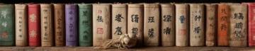 中国各地玉米方言称呼:从“棒子”到“苞谷”的乡土文化地图
