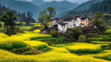 皖南春节之旅,体验非凡韵味年节