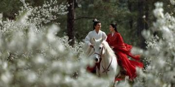 西湖C位梅花季:孤山探梅之旅(2.22-3.5)