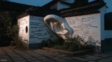 娃哈哈“2025年”商标转让申请引热议:战略调整还是市场挑战?