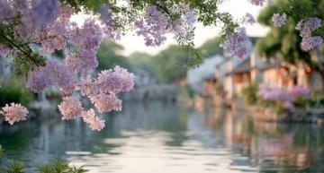 2025广州踏春指南:十大美景邂逅浪漫花海
