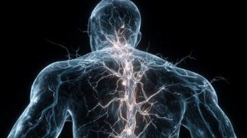有趣的冷知识科普:雷声的秘密与人体的奇妙现象