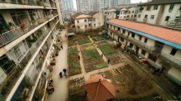 自贡国企新建农贸市场缓解南湖中区居民购物难题