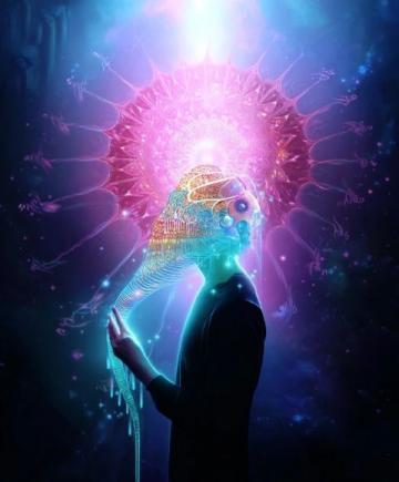 震惊!七大逆天冷知识揭秘,末一条令人瞠目结舌!