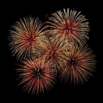 春节防火篇烟花虽美安全最重要