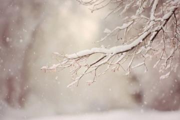朋友圈各地飘雪，温暖冬日期待一场大雪纷飞；在宁静中迎接新年，祈愿生活更美好